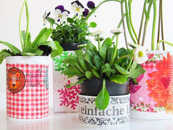 Blumen aus der Dose