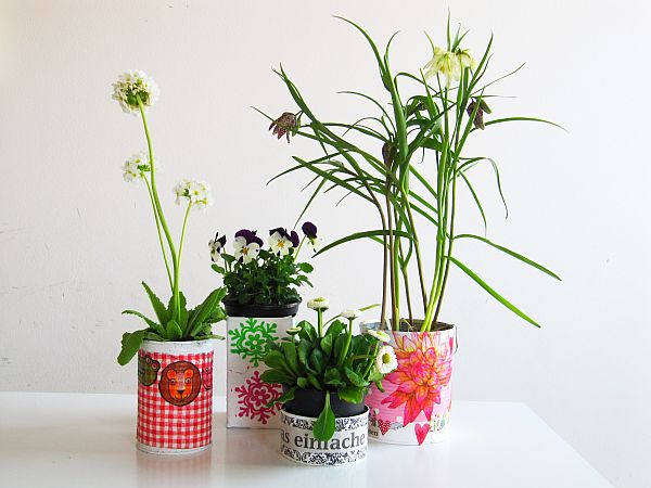 Blumen aus der Dose_2