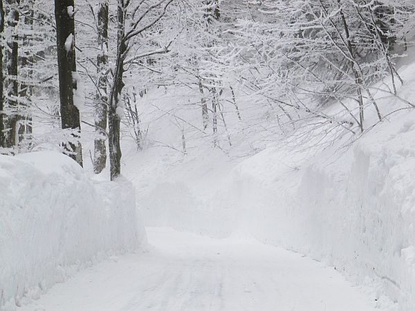 Eisgrau_verschneiter Weg