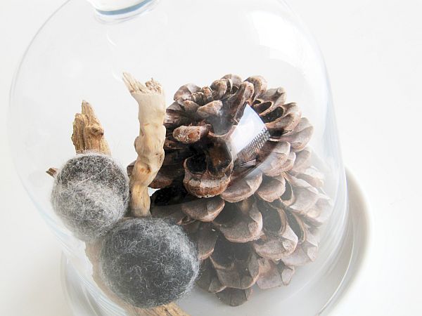 Unter Glas_Glasglocke mit Naturmaterialien