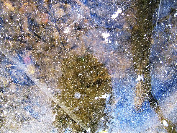 Unter Glas_Grund unter Eis