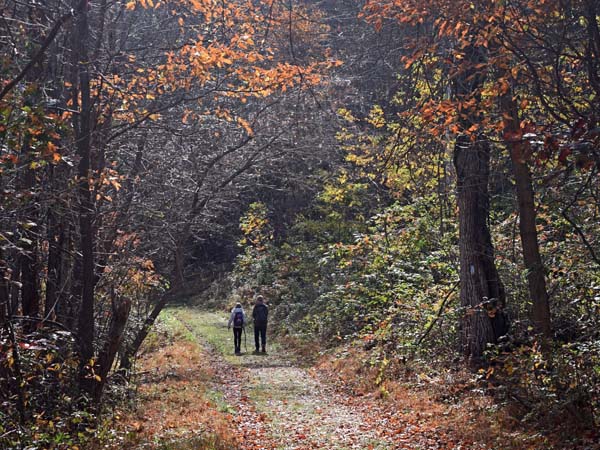 shenandoah_wanderweg